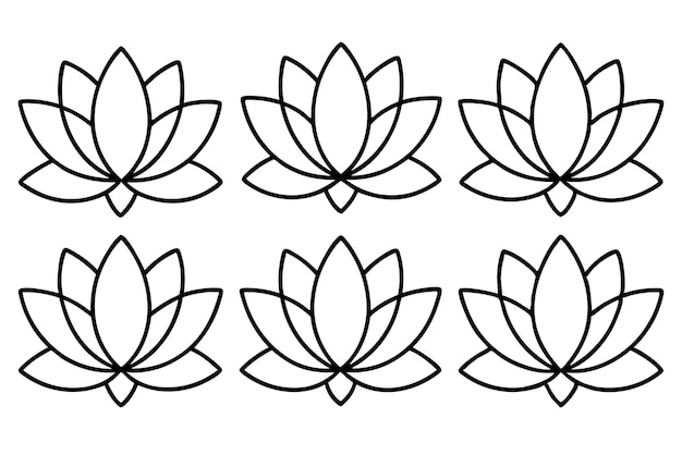 Stylized Lotus Flower Line Art Delicate Floral Illustrations