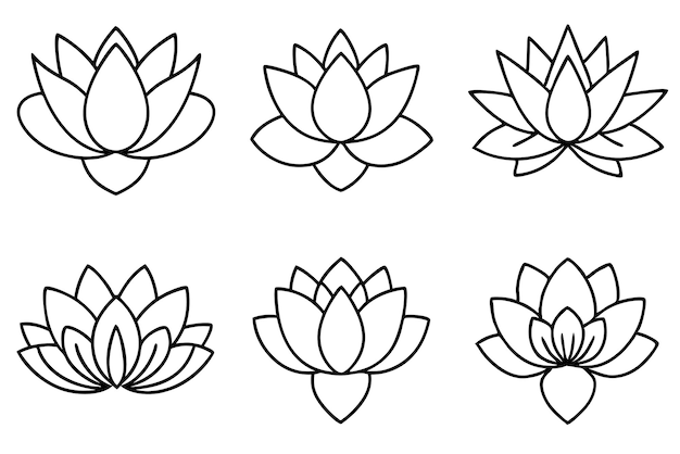 Stylized Lotus Flower Line Art Simple Yet Striking Designs