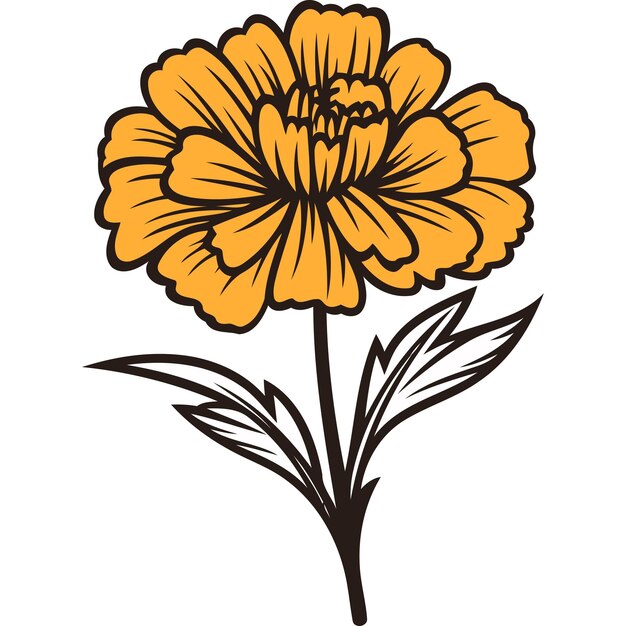 Vector a stylized marigold flower with a single stem and leaves perfect for branding logos and decorative designs