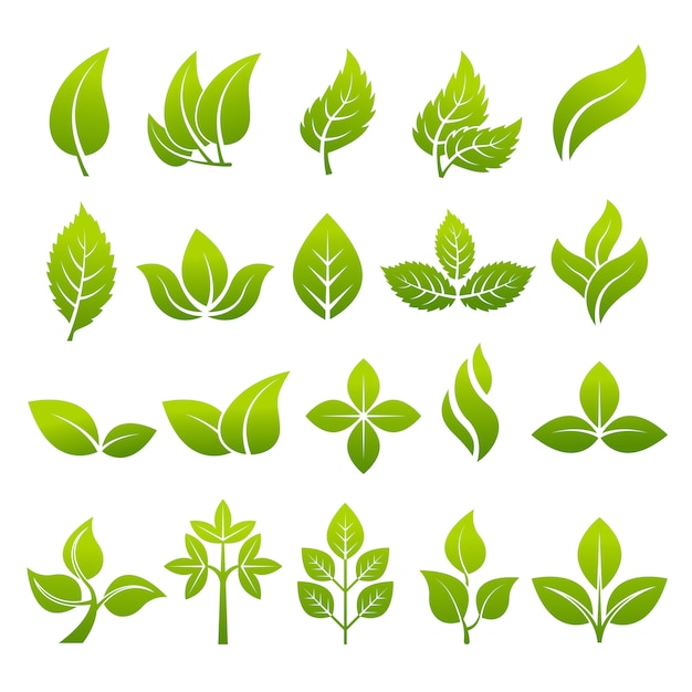 stylized plants to design logos