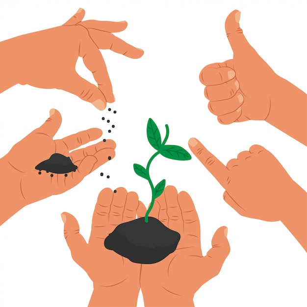 Success concept illustration with hands and plant grow