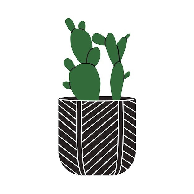 Succulent in the decorative flowerpot Design interior by home plants Botanical minimalism Cartoon style Cute plant in little pot for home or office garden Hand drawn vector illustration