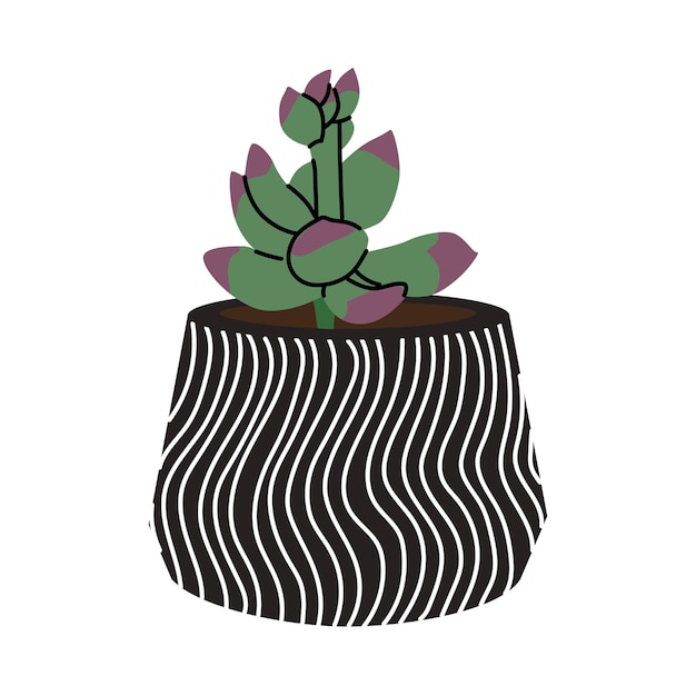 Succulent in the decorative flowerpot Design interior by home plants Botanical minimalism Cartoon style Cute plant in little pot for home or office garden Hand drawn vector illustration