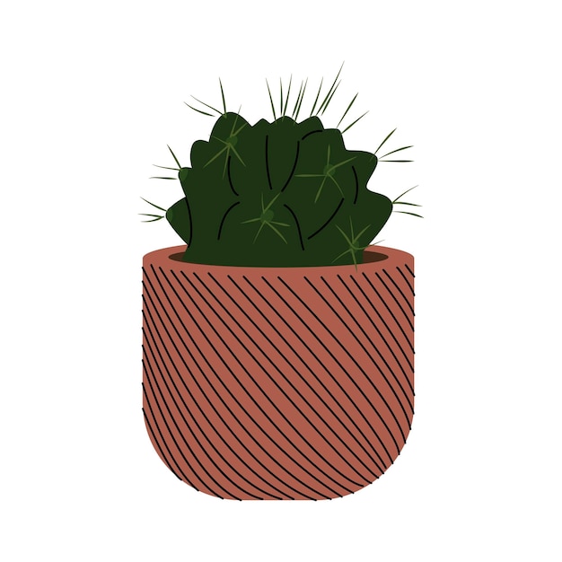 Succulent in the decorative flowerpot Design interior by home plants Botanical minimalism Cartoon style Cute plant in little pot for home or office garden Hand drawn vector illustration