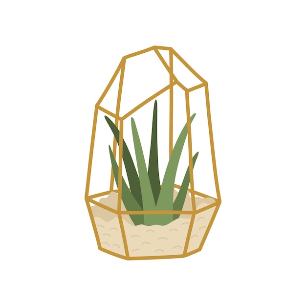 Succulent in golden geometric terrarium, stylish hand drawn home plant in flat doodle style, Scandinavian interior decor. Mexican colorful cactus. Vector illustration isolated on white background.