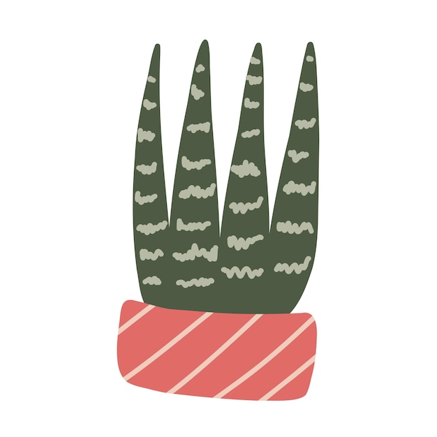 Succulent. Hand drawn cactus cacti plant with thorns pot. Hand-drawn doodle desert tropical cactus