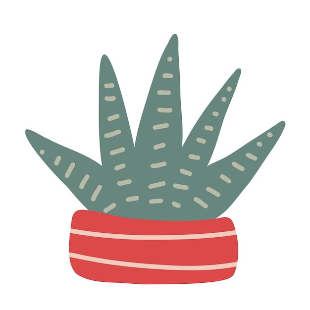 Succulent. Hand drawn prickly cactus cacti plant with thorns pot. Doodle desert tropical cactus