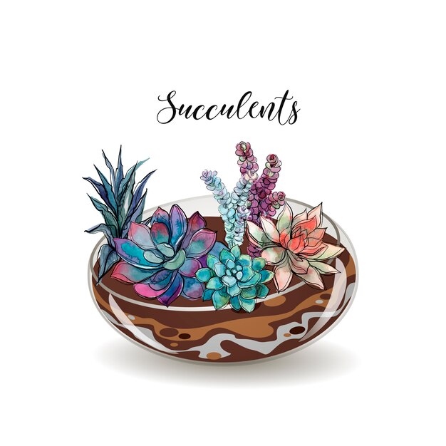 Vector succulents in glass aquariums.