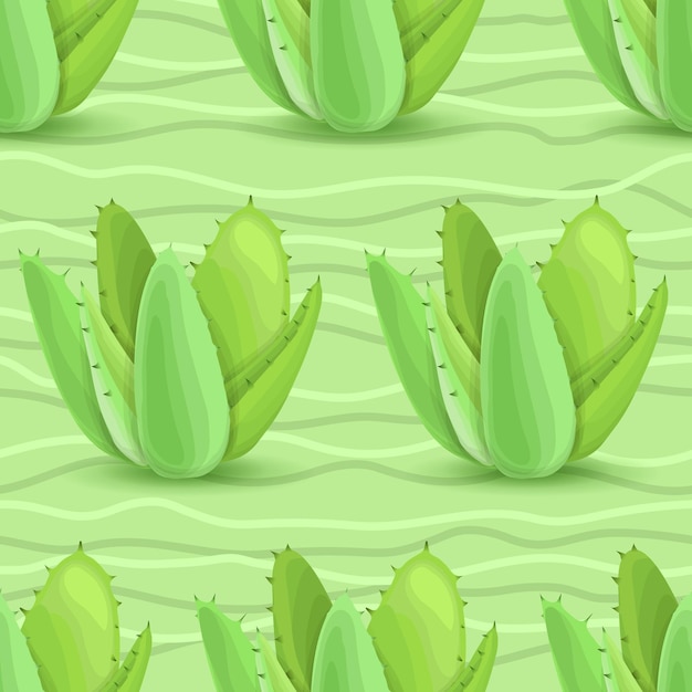 Succulents seamless pattern