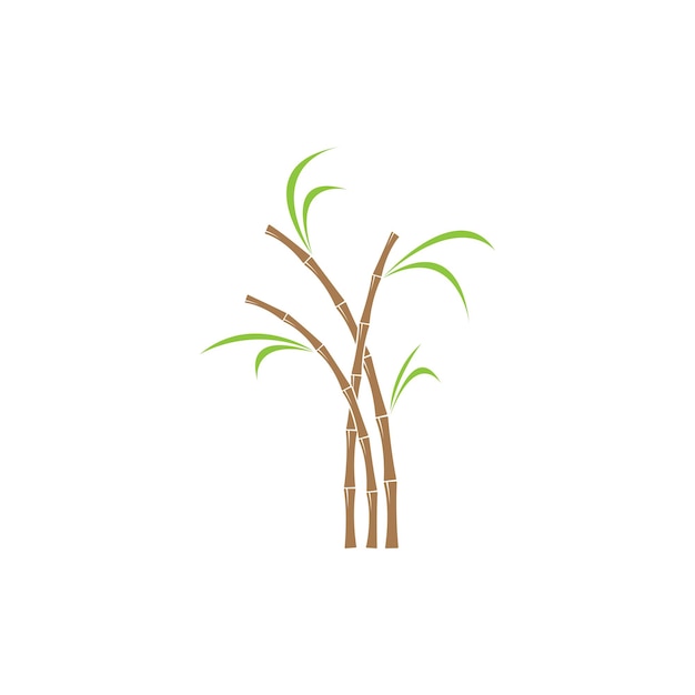 Sugar cane plant logo vector illustration design