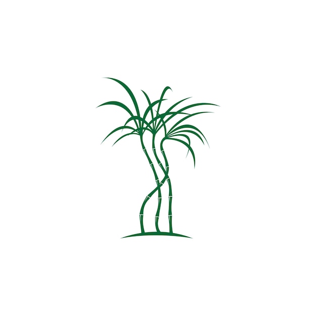 Sugar cane plant logo vector illustration design