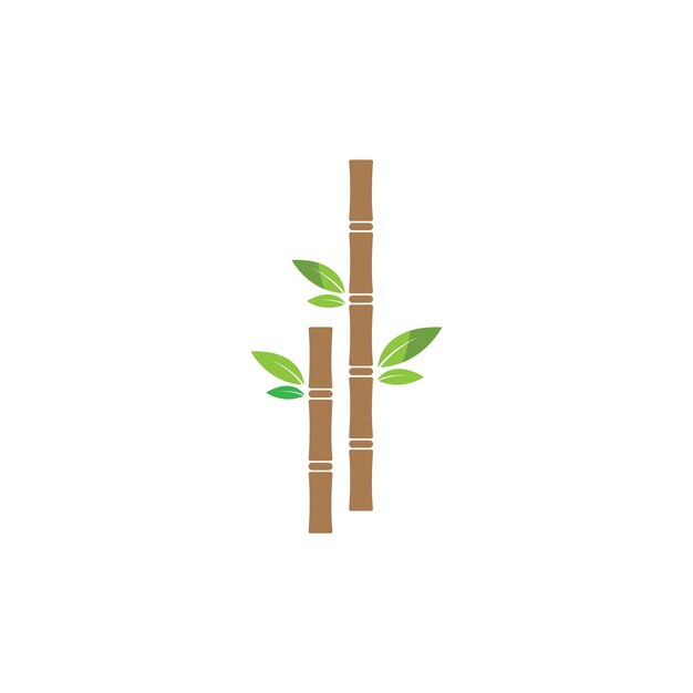 Sugar cane plant logo vector illustration design