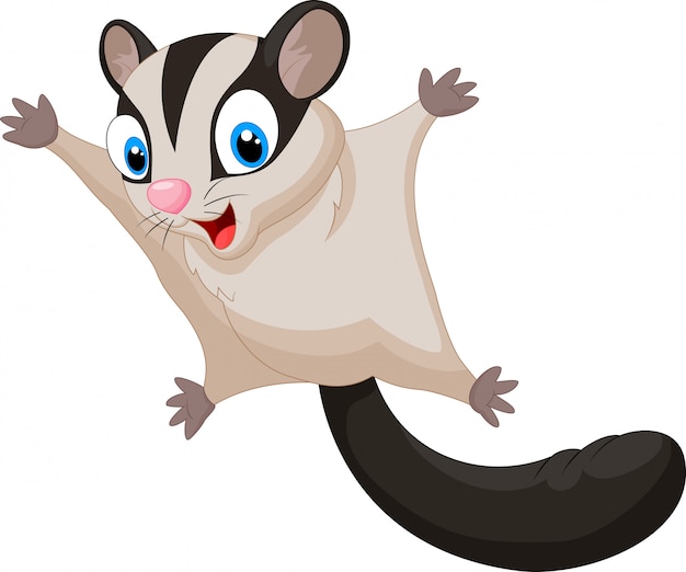 Sugar glider cartoon