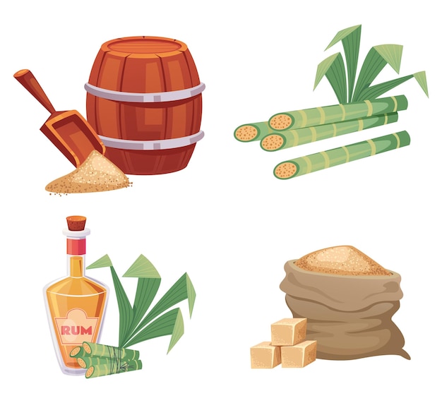 Sugar rum alcohol drink cane isolated set graphic design element illustration