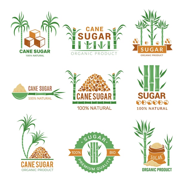 Sugarcane manufacturing. Sweets plants production farm industry leaf  badges or labels with place for your text.