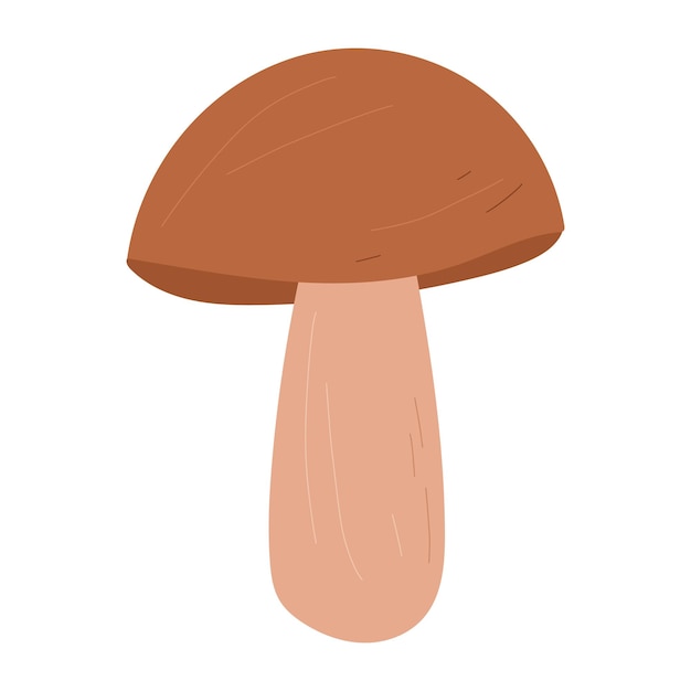 Suillellus mushroom vector hand drawn cartoon illustration isolated on white background.