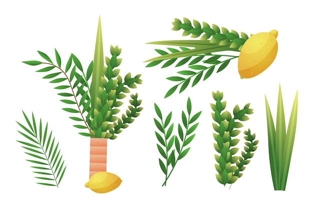 Sukkot religious holiday Lula and Etrog Four Sukot species Myrtle or tabernacles Arava feast Lemon leaf Plant branches Jewish traditional festive symbols Vector sukkah icons set