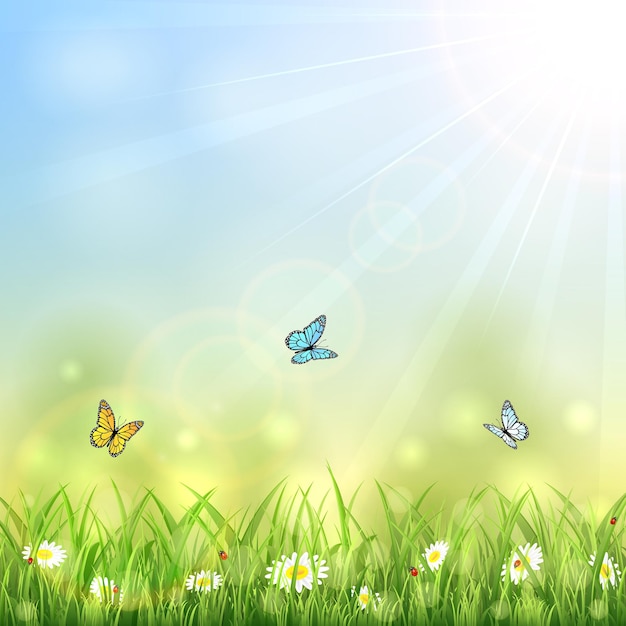 Summer background with butterflies, Sun and flowers in the grass, illustration.