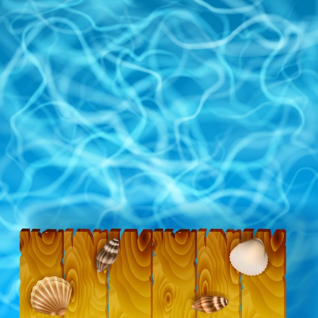 Summer background with sea and shells