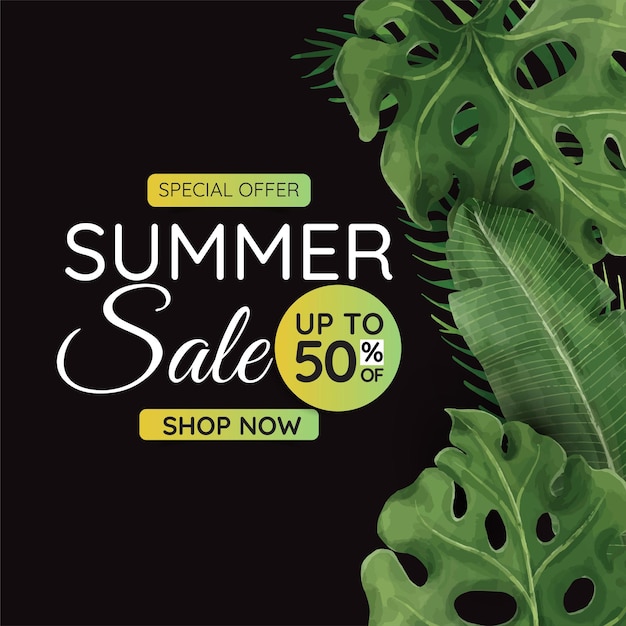 Summer banner tropical leaves Suitable for social media posts