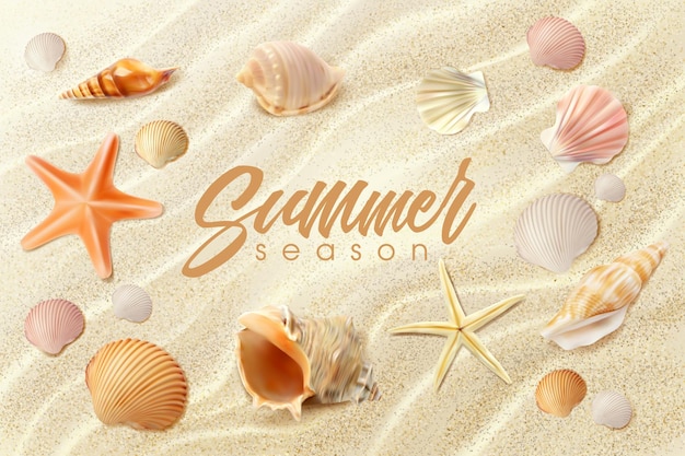 Summer beach background realistic seashells