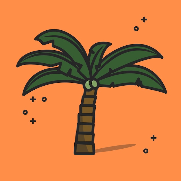 summer coconut tree