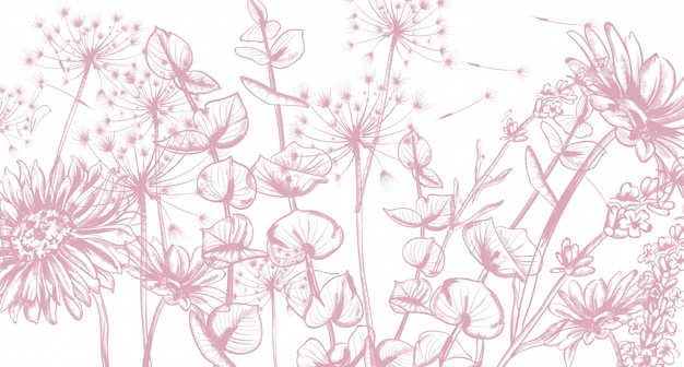 Summer flowers line art