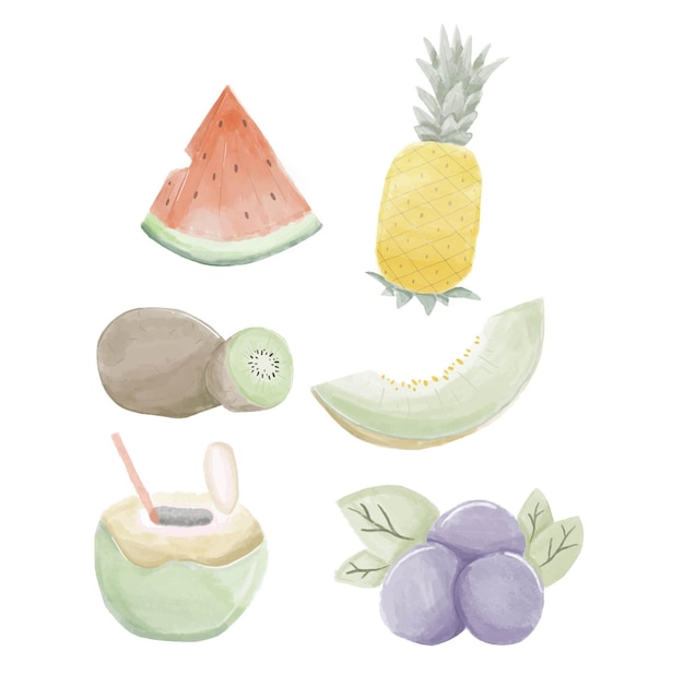 Summer Fruit Water Colors