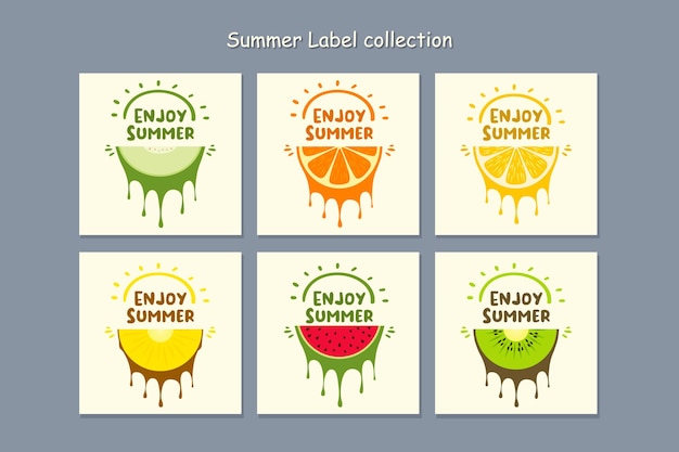 Summer fruits badge label collection