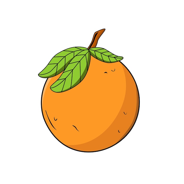 summer illustration orange fruit object isolated white background