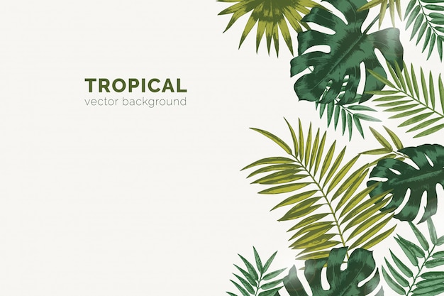 Summer paradise background with exotic palm tree branches and tropical Monstera leaves.