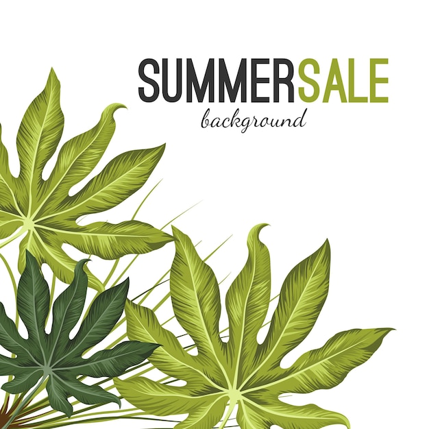 Summer sale background with green tropical exotic foliage isolated on white.