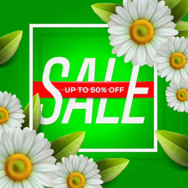 Summer Sale banner with realistic daisy camomile flowers on green background vector image