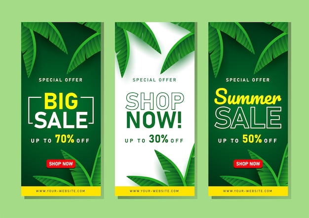 Summer Sale banner with tropical leaves