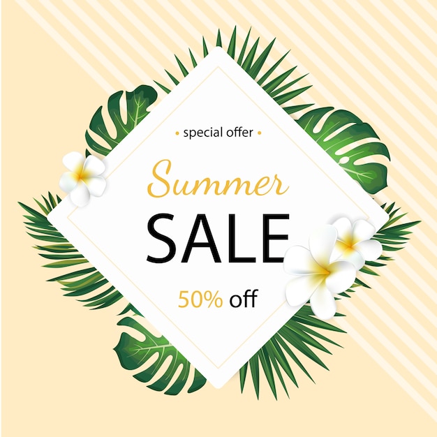 Summer sale banner with tropical palm leaves and plumeria flower