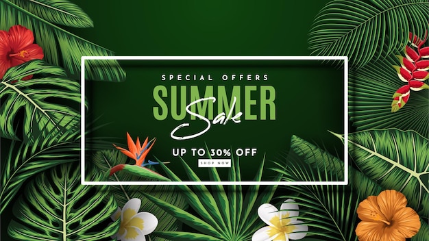 Summer Sale Banner    