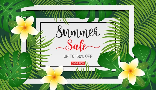 Summer sale concept banner for discount promotion with plumeria flower and tropical leaves on green background