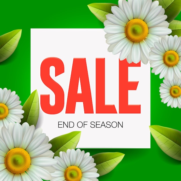 Summer Sale lettering and bouquet realistic daisy, camomile flowers on green background, online shopping, store, advertising poster,  illustration.