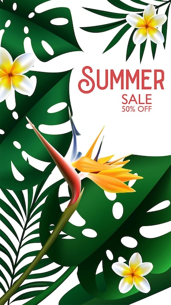 Summer sale tropical design for template banner