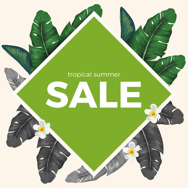 Summer sale with tropical palm leaves and white Plumeria flowers