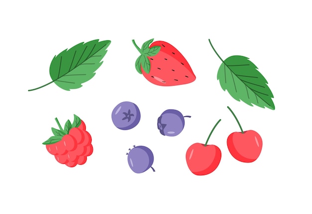 Summer sweet berries cartoon icons Vector illustration color raspberry strawberry blueberry cherry and mint leaves