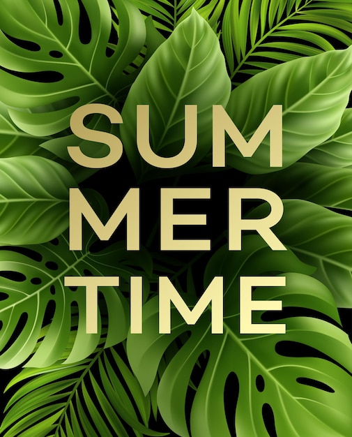 Summer time poster with tropical palm leaf