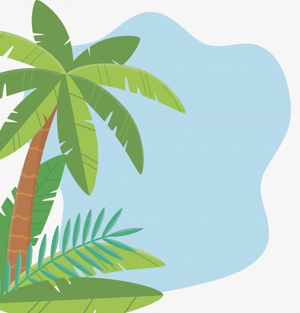 Summer travel and vacation palm tree foliage leaves tropical background