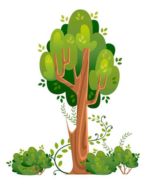 Summer tree and bushes in  . Green spaces.  illustration