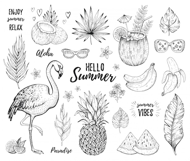 Summer tropic sticker set. Flamingo, cocktail, jungle palm leaf, exotic fruit. Hand drawn vintage art. Cool doodle pineapple, watermelon, coco drink, banana. Cute  illustration, white background