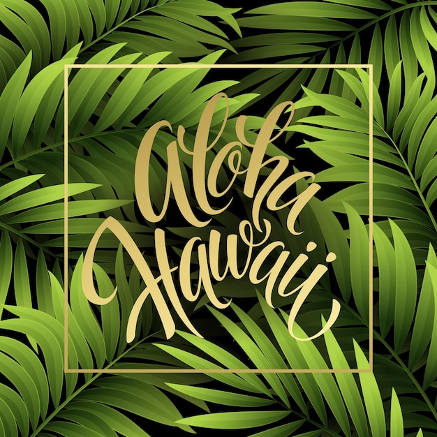 Summer tropical background of palm leaves. Tropical palm leaves.