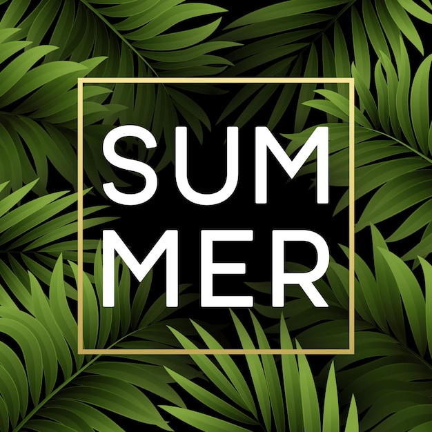 Summer tropical background of palm leaves. Tropical palm leaves.