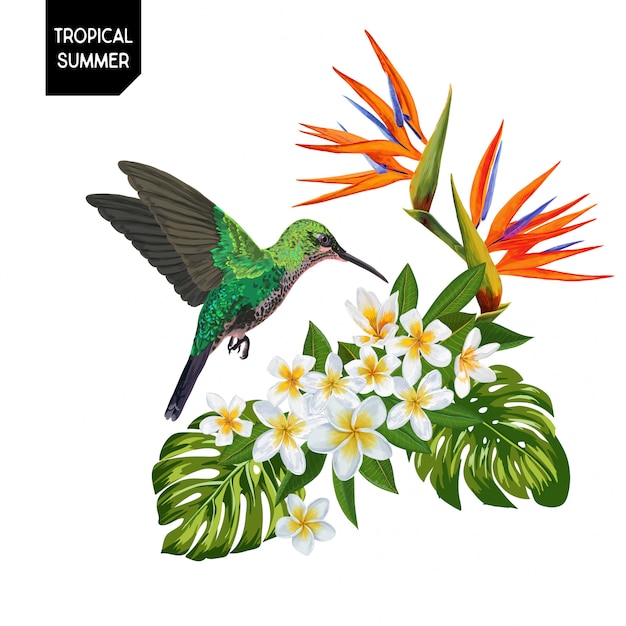 Summer Tropical Hummingbird and Flowers