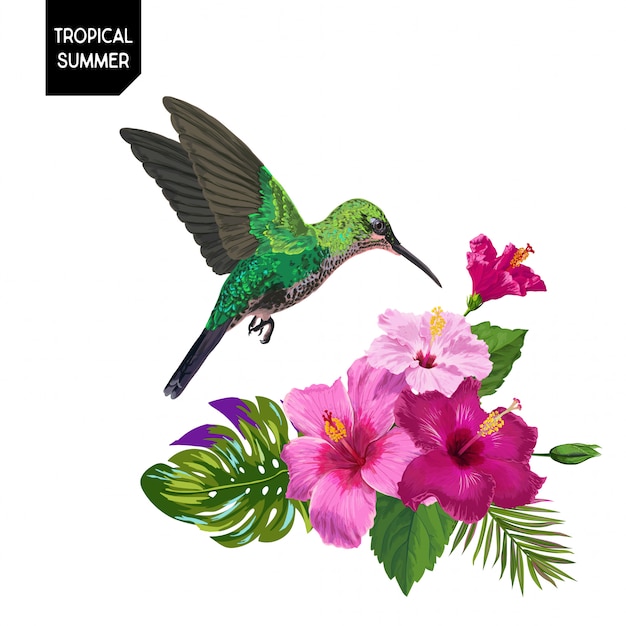 Summer Tropical Hummingbird and Flowers