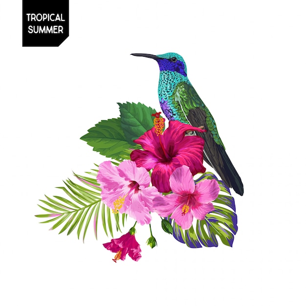 Summer Tropical Hummingbird and Flowers